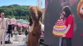 В Кисловодске масштабно празднуют День рождения Чебурашки! II детский гастрофестиваль проходит на Курортном бульваре. Игры, мастер-классы, сладости и встречи с любимыми мульт-персонажами! Фото: пресс-служба Кисловодска