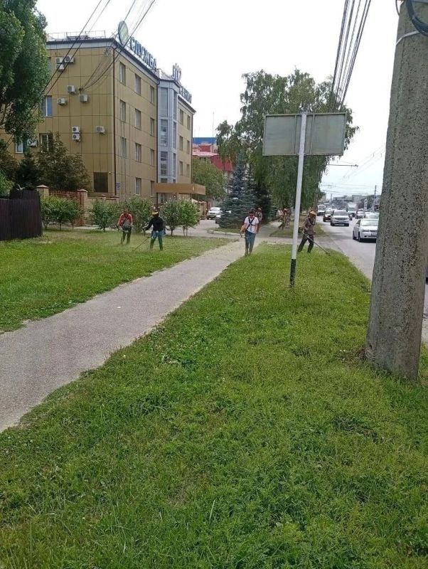Более 2 млн квадратных метров территорий обработали в Ставрополе в рамках сезонных мероприятий Более 2 млн квадратных метров территорий обработали в Ставрополе в рамках сезонных мероприятий