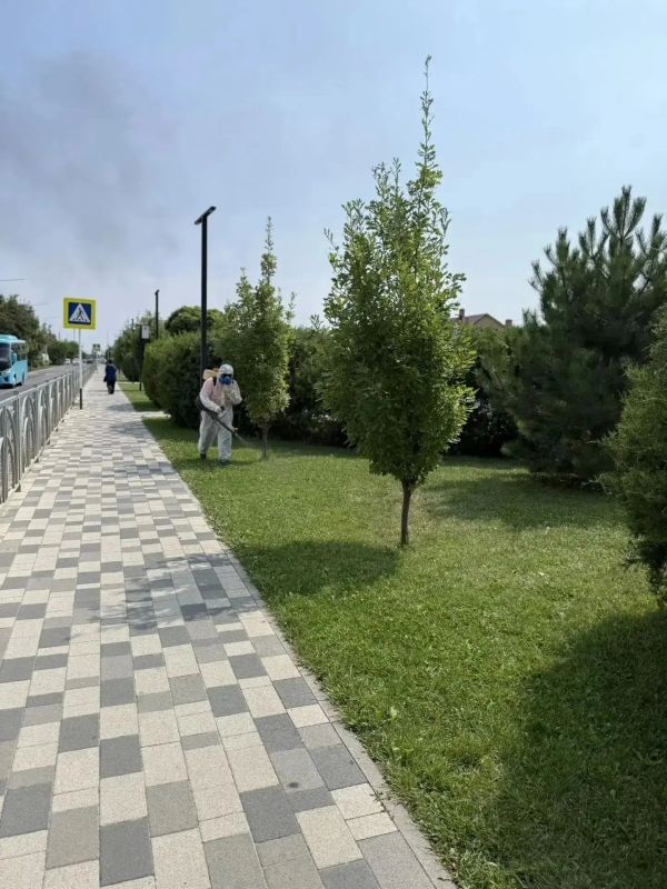 Более 2 млн квадратных метров территорий обработали в Ставрополе в рамках сезонных мероприятий Более 2 млн квадратных метров территорий обработали в Ставрополе в рамках сезонных мероприятий