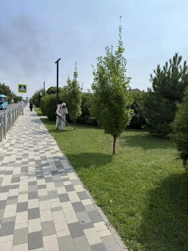 В Ставрополе продолжается сезонная работа по содержанию и санитарной обработке территорий В Ставрополе продолжается сезонная работа по содержанию и санитарной обработке территорий