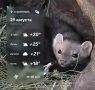 Погода в Ставрополе 29 августа