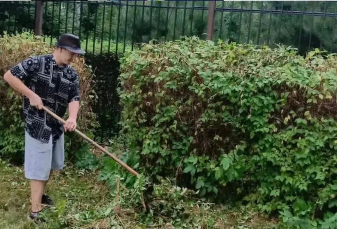 В Ставрополе продолжается сезонная работа по содержанию и санитарной обработке территорий В Ставрополе продолжается сезонная работа по содержанию и санитарной обработке территорий