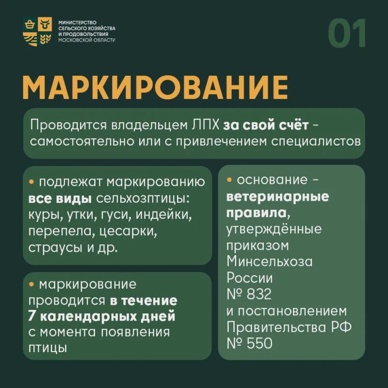 � ��� � ������ ������ �� �����: ����������, ��� ��������� � �� ���� � ���