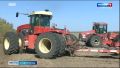 Осенняя посевная кампания стартовала на Ставрополье