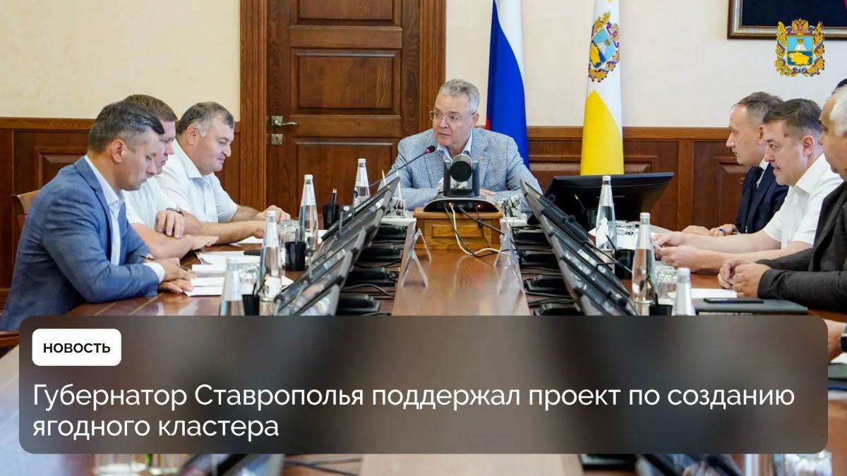 Губернатор Владимир Владимиров провел совещание по вопросу создания в регионе крупнейшего в России ягодного кластера
