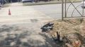 � ���������� 17-������ ��������� �� �������� ����� ��� ������ �� ���������� ��������