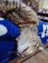 Ставим , если вы утром понедельника чувствуете себя так же, как Фикс