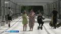 � ���������� ������������ ����� ������ �� ��������� ��� ���������������