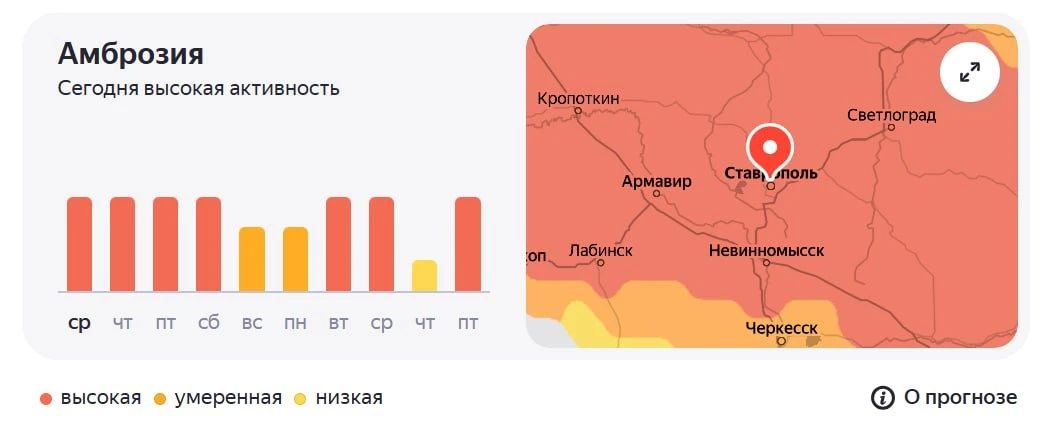 Аллергики, будьте наготове! На Ставрополье начался сезон активности пыльцы! Аллергики, будьте наготове! На Ставрополье начался сезон активности пыльцы!