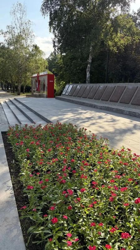 7 000 цветов высадили на клумбах Ставрополя ко Дню города 7 000 цветов высадили на клумбах Ставрополя ко Дню города