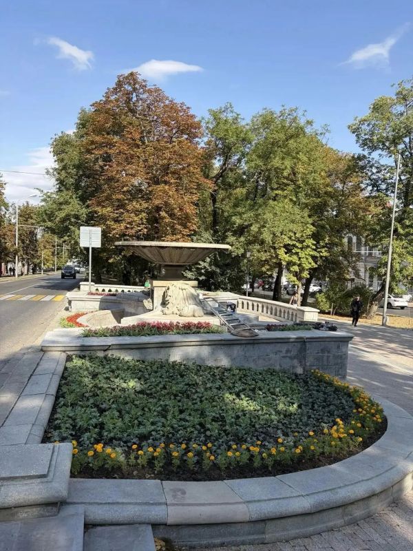 7 000 цветов высадили на клумбах Ставрополя ко Дню города 7 000 цветов высадили на клумбах Ставрополя ко Дню города
