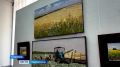 «От поля до холста»: передвижная выставка путешествует по Ставрополью