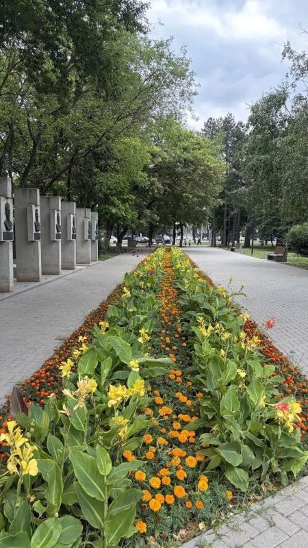 Ставрополь к Дню города украсили тысячами осенних цветов Ставрополь к Дню города украсили тысячами осенних цветов