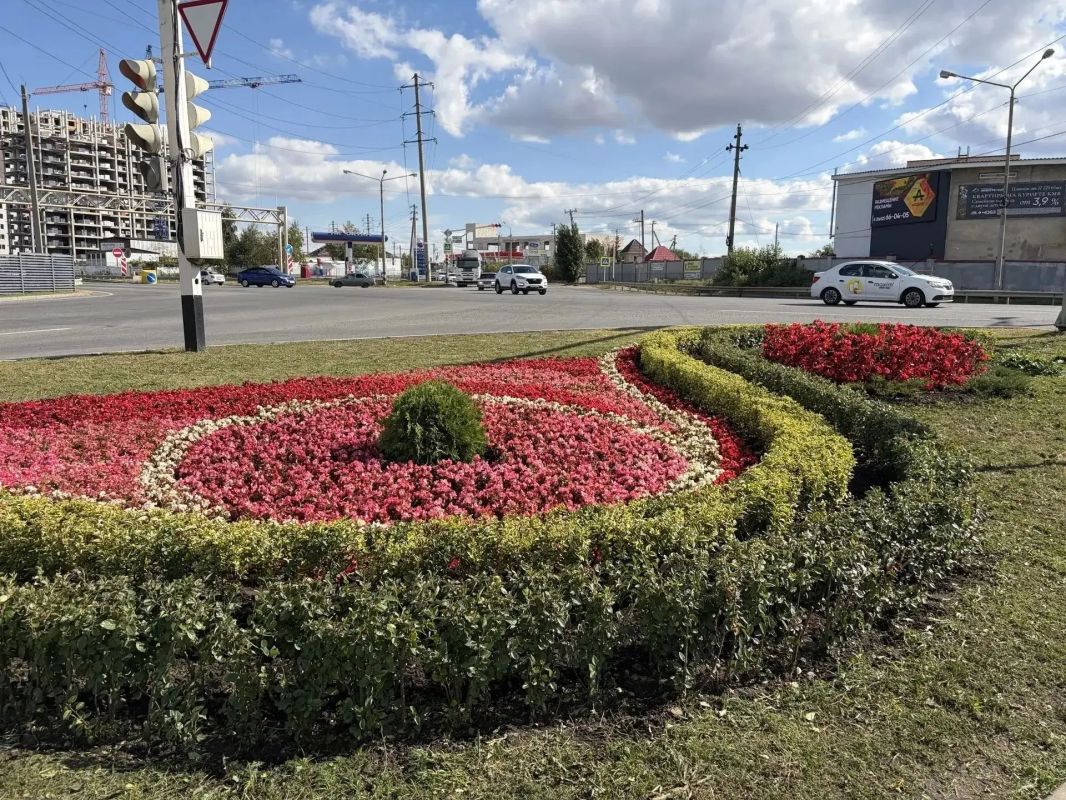 Более 7 тысяч цветов высадили на клумбах Ставрополя ко Дню города Более 7 тысяч цветов высадили на клумбах Ставрополя ко Дню города