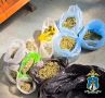 Житель Михайловска вырастил на приусадебном участке коноплю и хранил дома 1,5 килограмма марихуаны