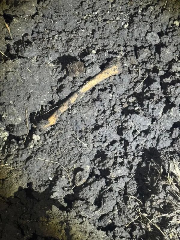 16 минометных снарядов временен Великой Отечественной войны уничтожили на Ставрополье 16 минометных снарядов временен Великой Отечественной войны уничтожили на Ставрополье