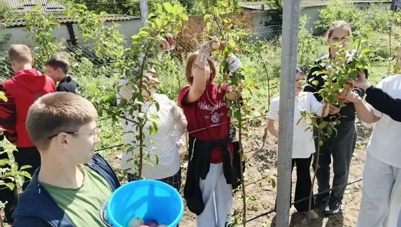 Ученики из Петровского округа отправили бойцам СВО урожай из школьного сада Ученики из Петровского округа отправили бойцам СВО урожай из школьного сада