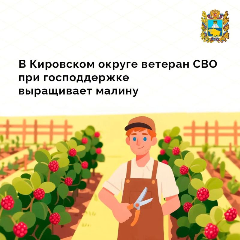 Артур Дамиров, участник спецоперации из станицы Старопавловской Кировского округа, воспользовался господдержкой для выращивания малины