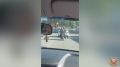 Госавтоинспекция региона применяет скрытые патрули в работе с питбайкерами – нарушителями