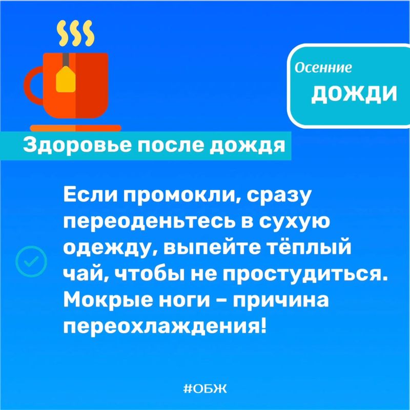 Осенний дождь, встречаем непогоду во всеоружии Осенний дождь, встречаем непогоду во всеоружии