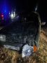 В Левокумском округе наезд автомобиля на животное стал причиной госпитализации троих человек