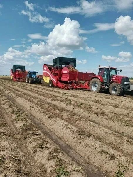 В Ставропольском крае активно ведётся уборка картофеля