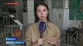 Второй день выборов: какая активность на избирательных участках на Ставрополье