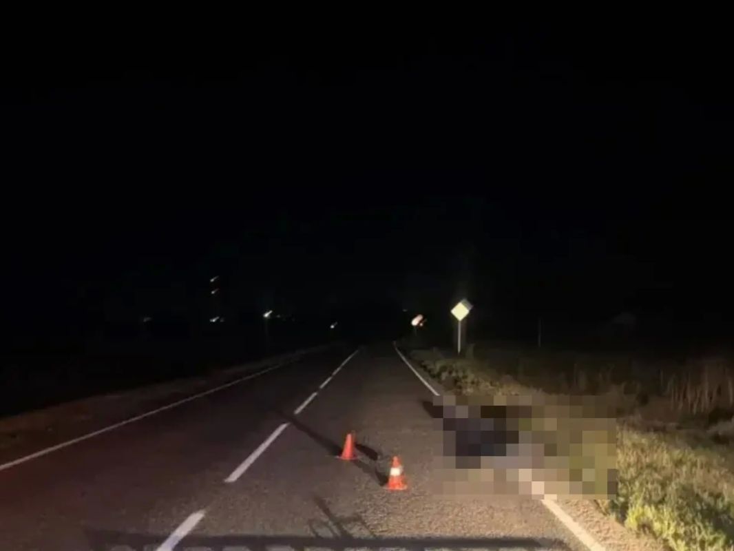 В ДТП на ночной дороге в Труновском округе погиб пешеход В ДТП на ночной дороге в Труновском округе погиб пешеход