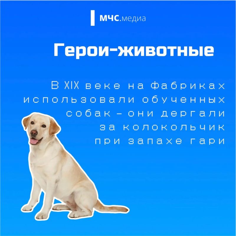 136 лет на страже пожарной безопасности! 136 лет на страже пожарной безопасности!