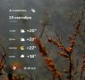 Доброе утро! Погода в среду, 23 сентября