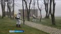 Клещи вновь активизировались на Ставрополье