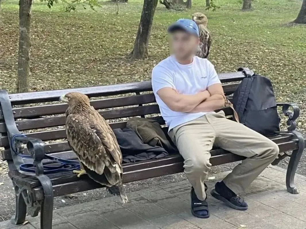 В Курортном парке Ессентуков пресечена незаконная предпринимательская деятельность
