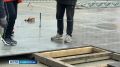 � ������ ���������� ������� ������ �������� �����