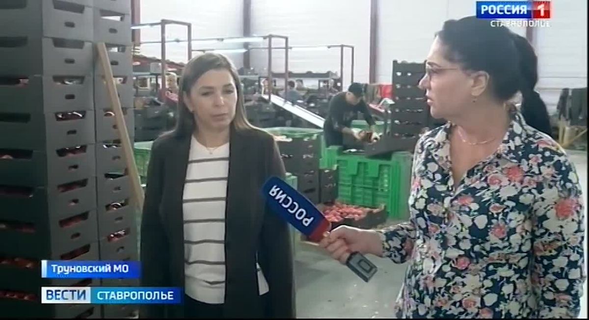 У ставропольских садоводов сейчас важная пора