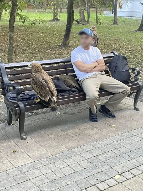 Фотографов с дикими птицами оштрафовали в нижней аллее Курортного парка Ессентуков Фотографов с дикими птицами оштрафовали в нижней аллее Курортного парка Ессентуков