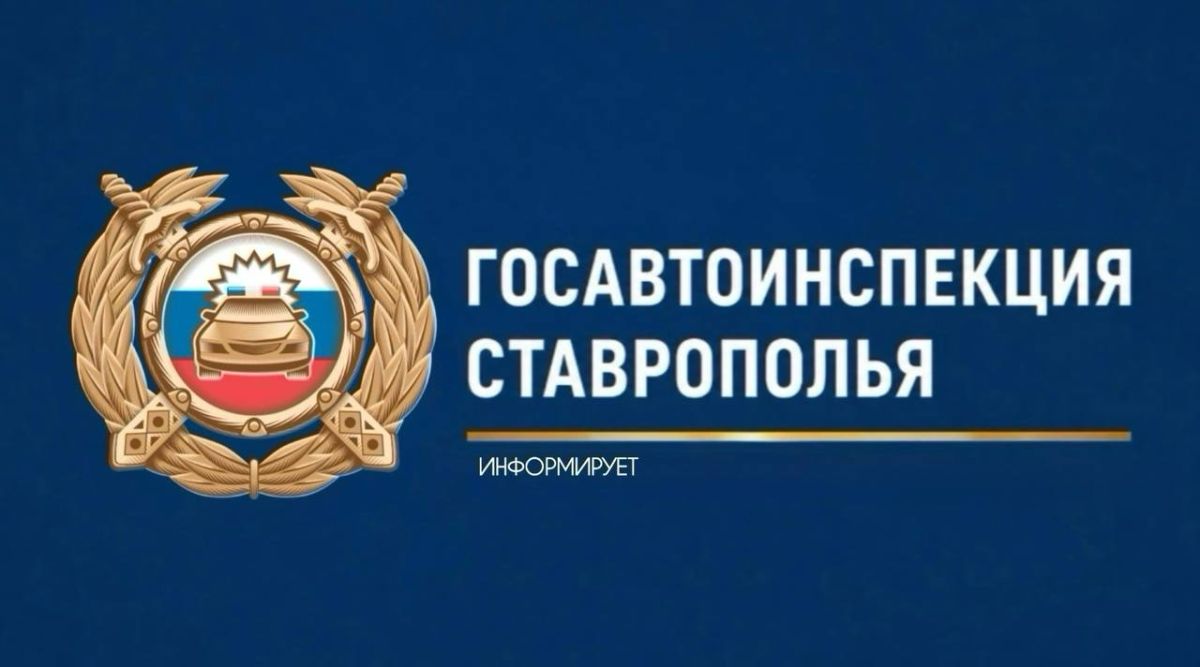 В Петровском округе подросткам и их родителям напомнили о правилах безопасной дороги в школу В Петровском округе подросткам и их родителям напомнили о правилах безопасной дороги в школу