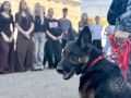 � ���������� ��������� �������� � ���������� ��������� ���������� ���