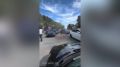 �����, ���������� ���������� � ��������: ��������� ������ ��������� �� �����������