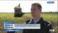Россельхознадзор проверяет урожай на безопасность