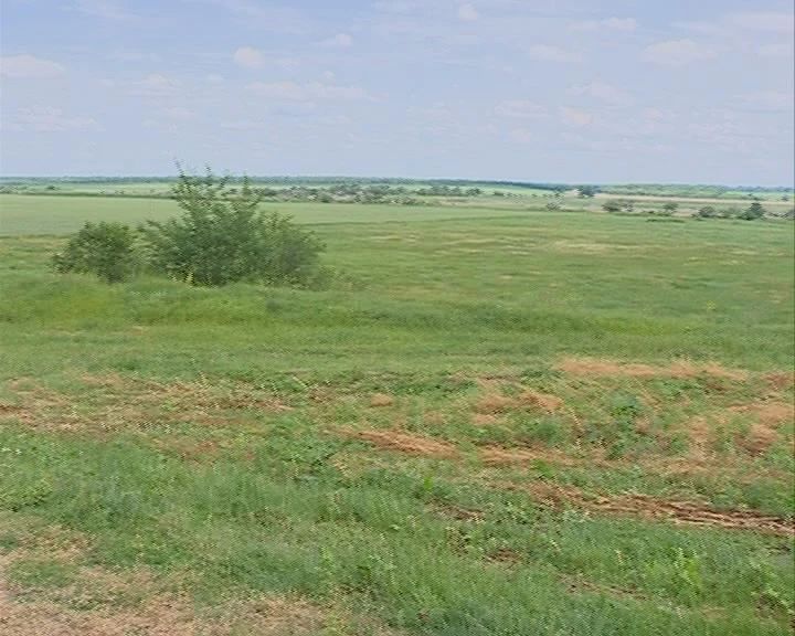 На Ставрополье пресекли многомиллионную мошенническую схему продажи городских земель