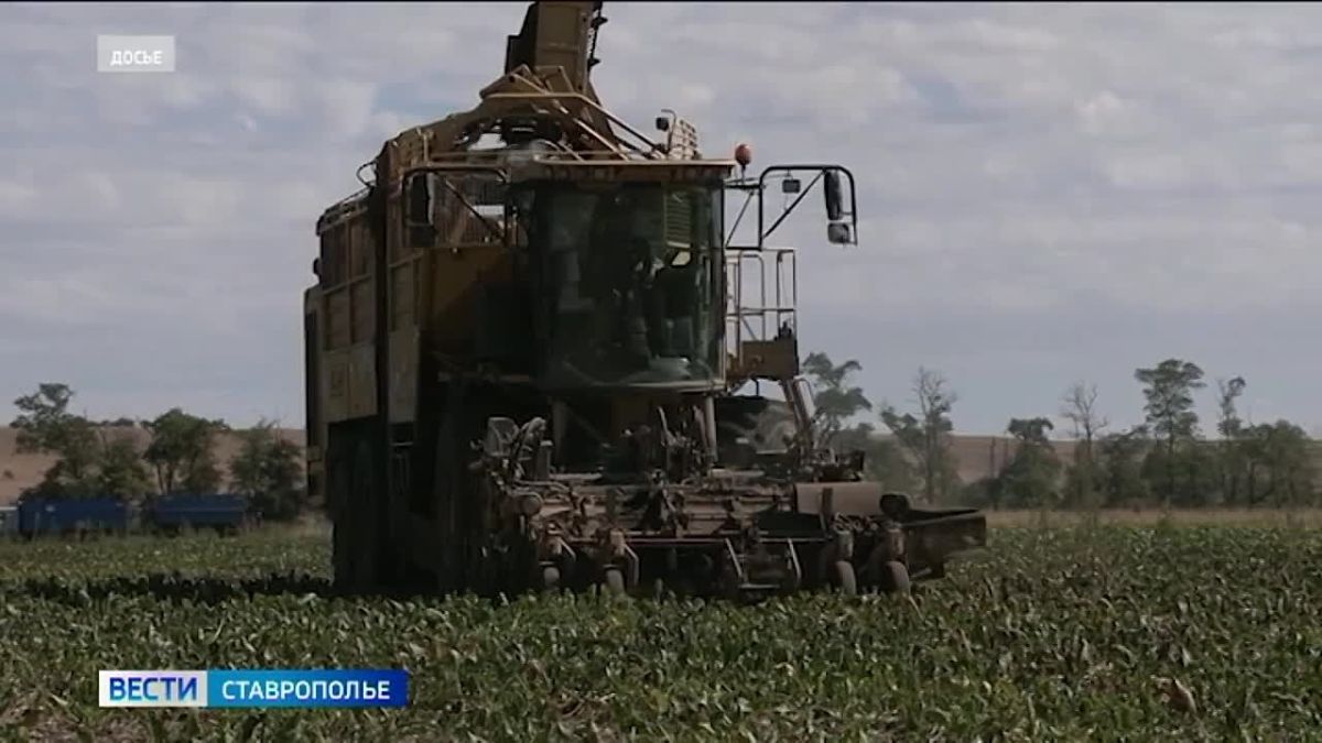 Глава Ставрополья представил вице-премьеру Дмитрию Патрушеву итоги работы АПК