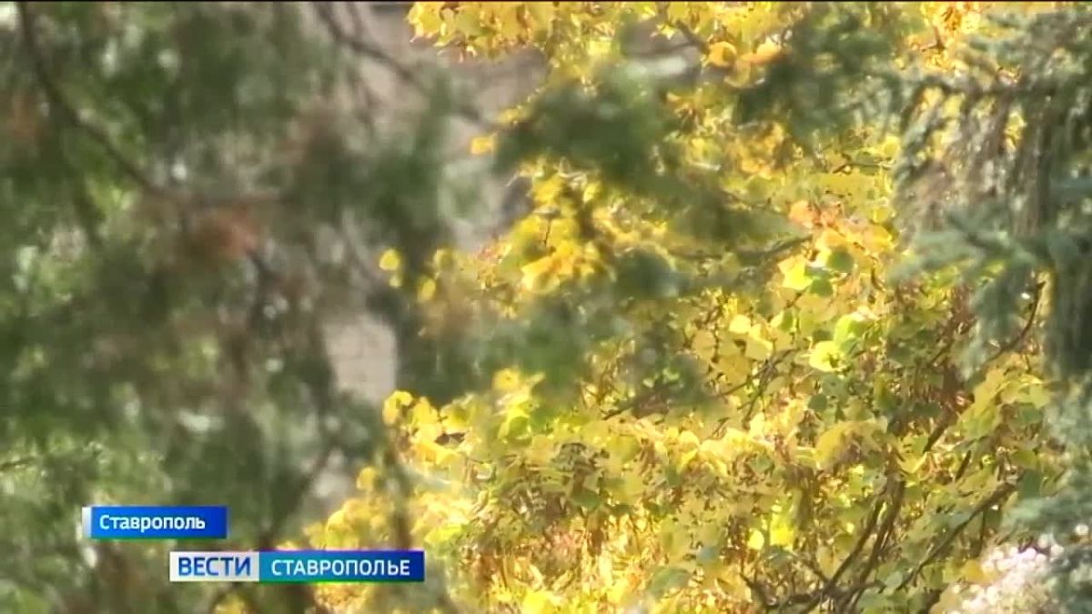 Потепление начнет возвращаться на Ставрополье