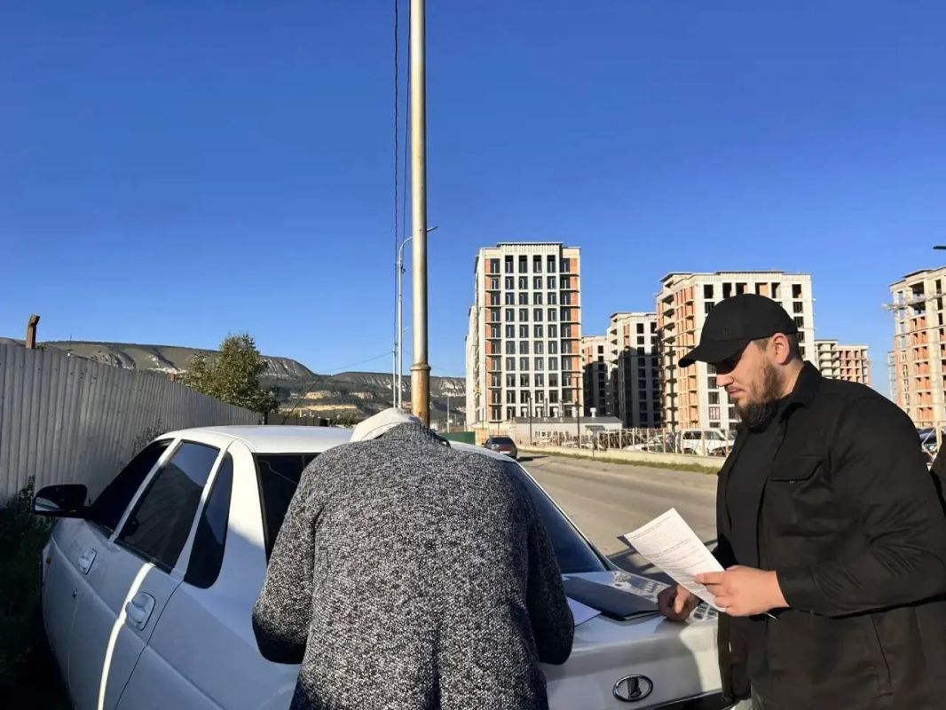 Стадо коров, пасущихся в Кисловодске, отправлено на штрафстоянку Стадо коров, пасущихся в Кисловодске, отправлено на штрафстоянку