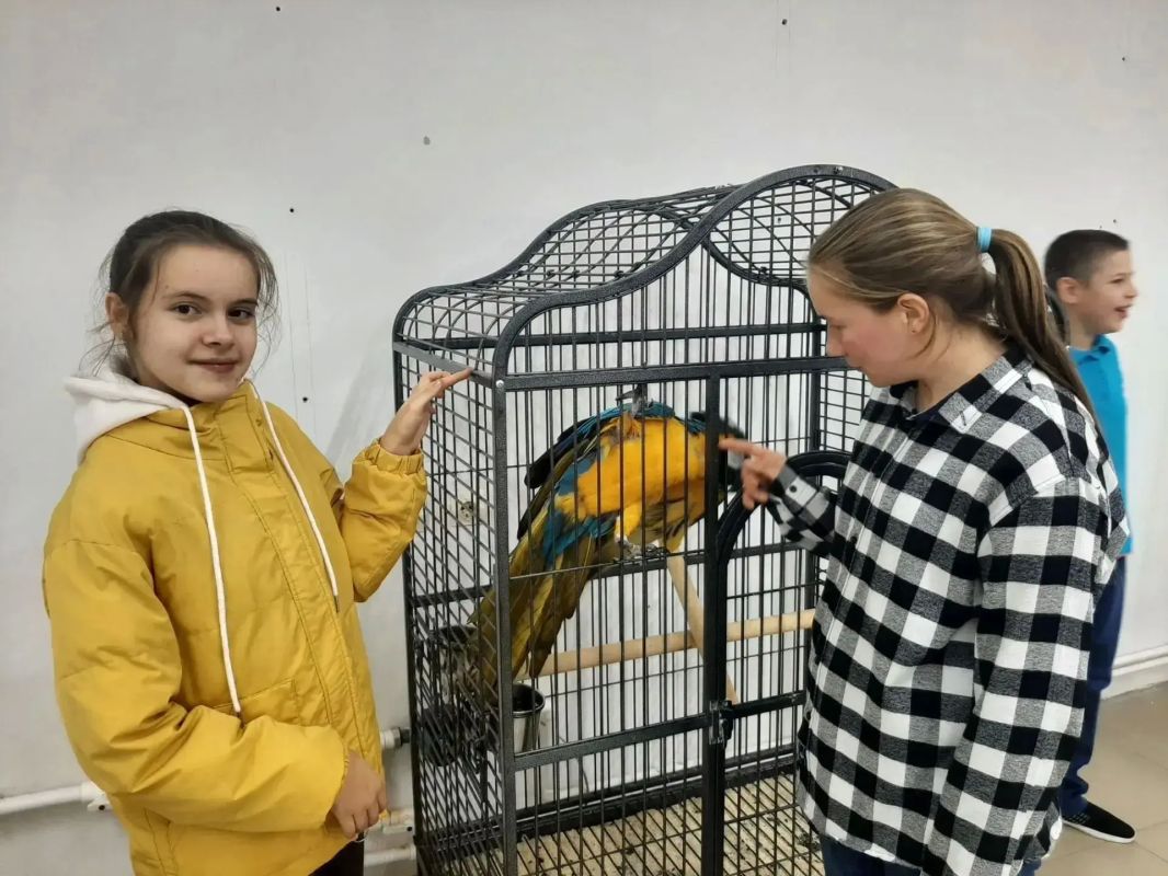 Сегодня мальчишки и девчонки из "Дома социального обслуживания "Подсолнух"совершили увлекательное путешествие в мир экзотической природы - посетили выставку попугаев " Попугайня" Общение с этими умными и яркими птицами...