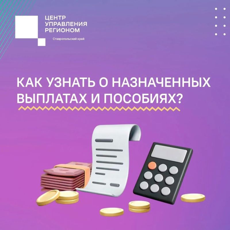 Если интересует, какие меры поддержки назначены или когда именно поступят средства, достаточно воспользоваться порталом «Госуслуги»