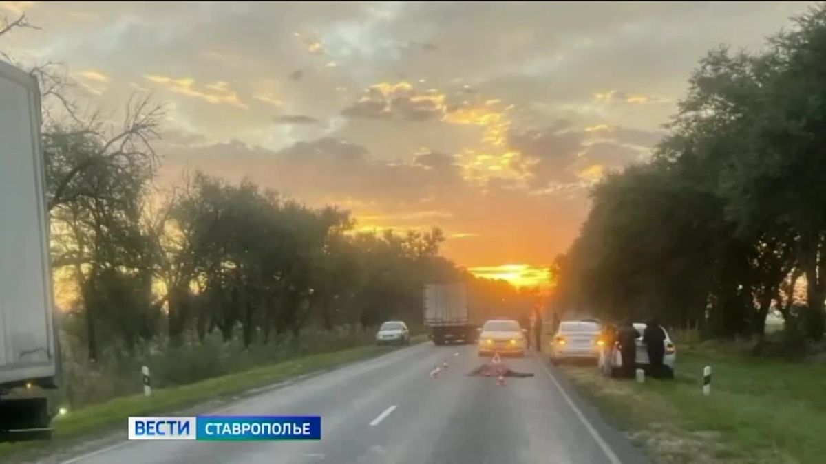 На Ставрополье пенсионер погиб под колесами грузовика