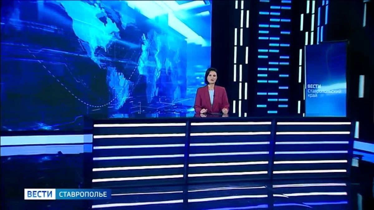На Ставрополье в самом разгаре сезон сбора грибов