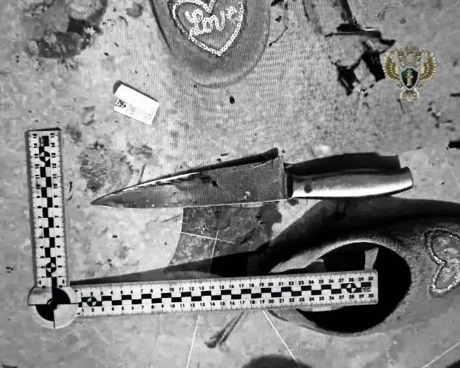 Жителя Новоалександровского округа будут судить за убийство знакомого 17 ударами ножа