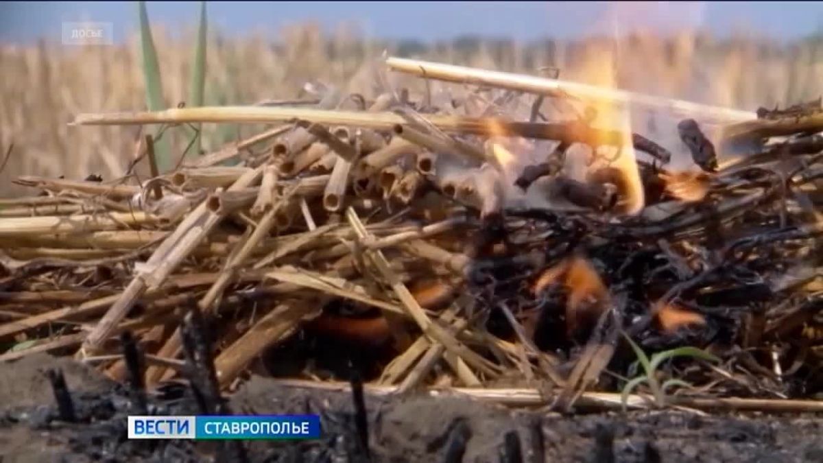 «Вести. Ставропольский край» 12.10.2026 (9.30)