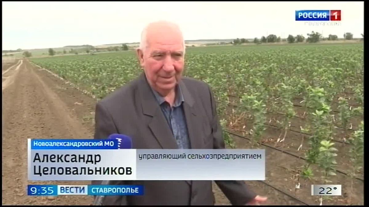 Ставропольские садоводы расширяют территорию под плодовые деревья